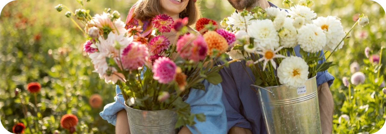 Bringing Farm Fresh Blooms to Your Doorsteps with Poco Loco Flowers: Buy Bouquet Online